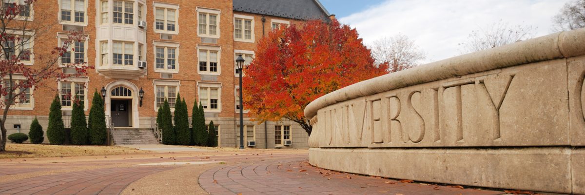 Higher Education Sector Engineering and Consulting