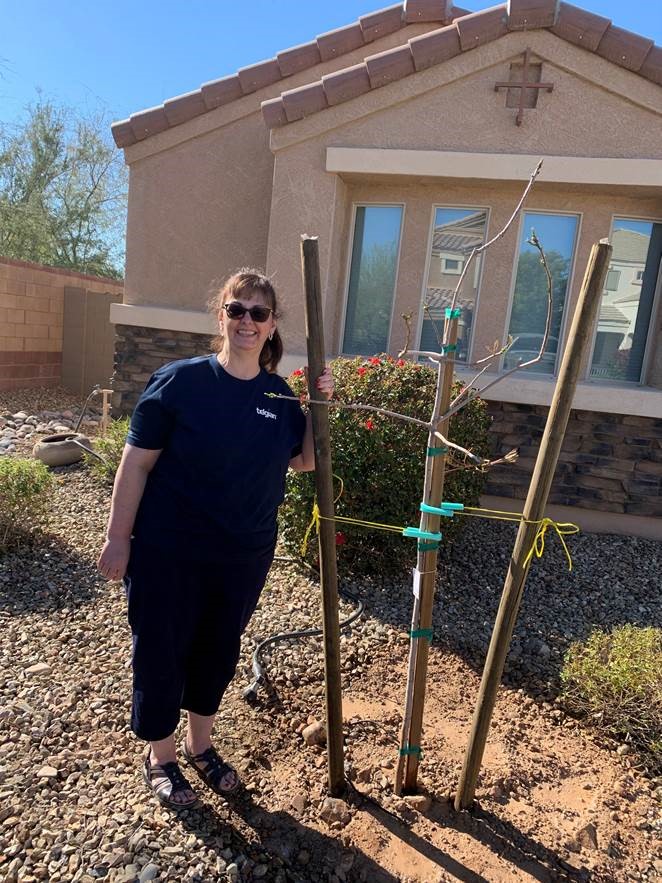 Telgian Helps Arizona Sustainability Alliance (AZSA) Beat the Heat