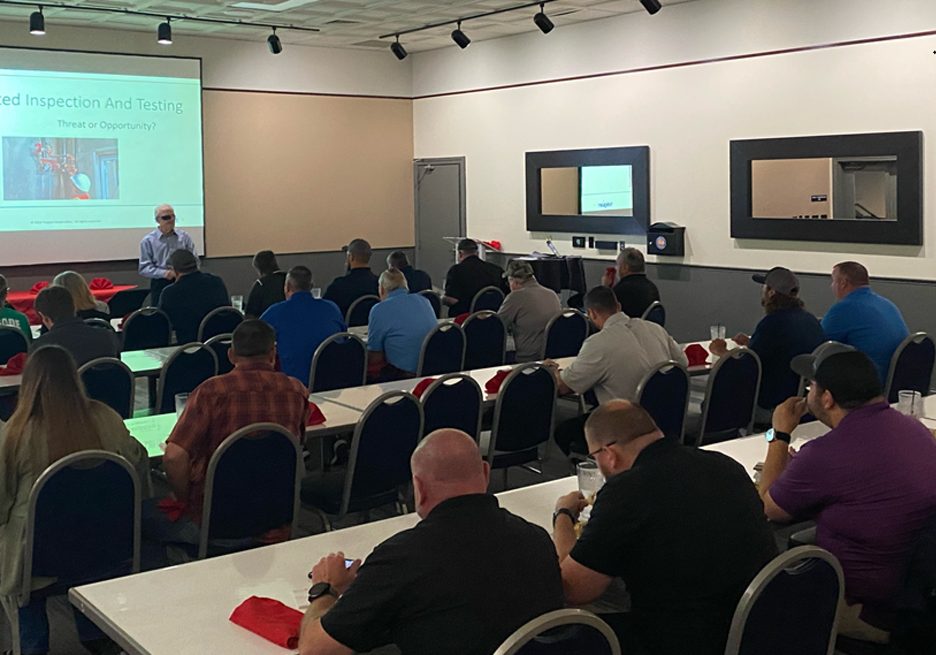 Automated Inspections and Testing: Threat or Opportunity